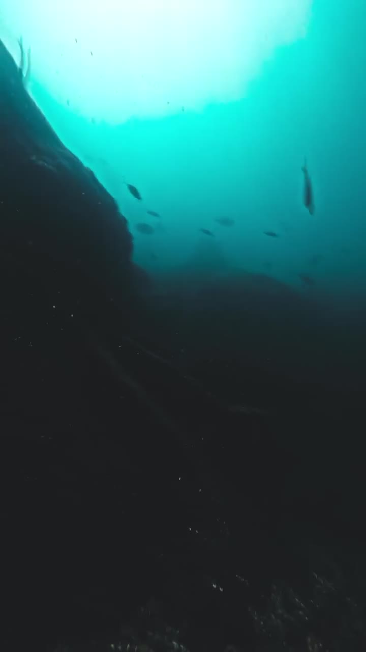 Mergulho filmado no mar